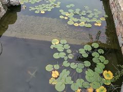 -春风习习