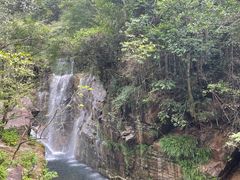 -大鄣山卧龙谷景区