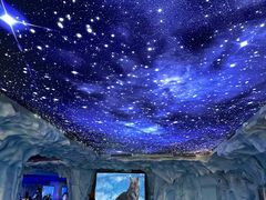 -上海海昌海洋公园-冰山北极馆