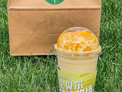 -茉酸奶(春熙路店)