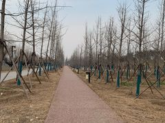 -汉长安城未央宫国家考古遗址公园