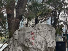 -金鸡湖桃花岛