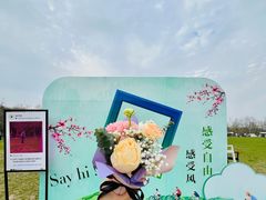 -上海海湾国家森林公园