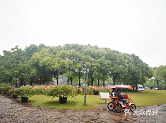 门票20元，小孩免费！坐15元的电瓶车直接到烧烤区