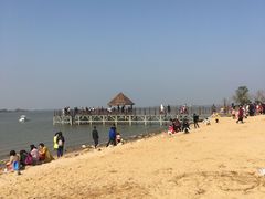 -瑶湖郊野森林公园