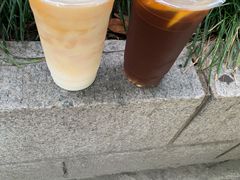 -陈记甜品窝(中山北路店)