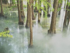 -东湖落雁景区
