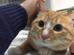 -子乐宠物医院