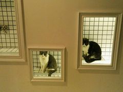 -娜娜家•Nana’Garden (福州道店)