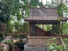 -北京植物园-展览温室