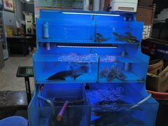 -韩妹鱼庄·泸定老字号(泸定店)