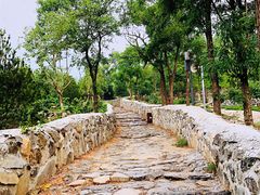 -阳台山自然风景区