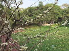 -云溪植物园