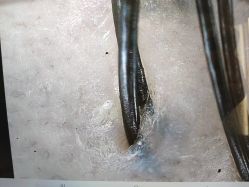 -润复丝·泽发防脱头皮管理