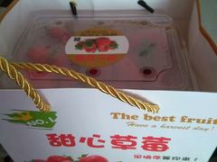 -甜心庄园·甜心草莓采摘园(西青中北店)