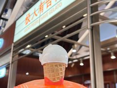 -极拉图·现制冰淇淋(大卫城店)