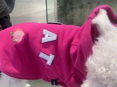 -HOWOW·D2Y(柏威年店)