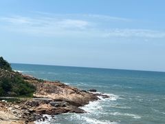 -广东惠东海龟国家级自然保护区