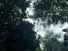 -海南热带野生动植物园