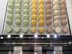 -BLACKSWAN黑天鹅(环球店)