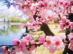 -颐和园