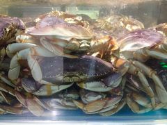 -盒马鲜生(莱蒙都会店)