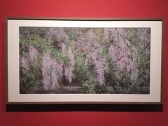 -江苏省美术馆(长江路新馆)