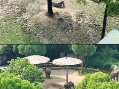-常州淹城野生动物世界