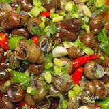 单方面宣布！这就是西昌烧烤天花板！