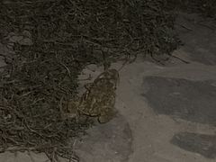 -北运河水利风景区