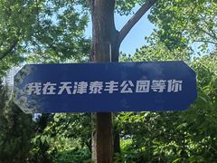 -泰丰公园