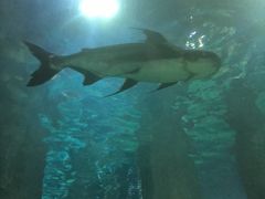 -福州罗源湾海洋世界旅游区