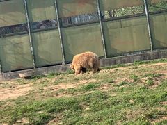 -宿豫区运河湾森林动物园