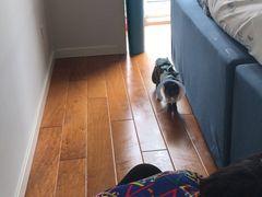 -纳吉亚猫专科动物医院博雅分院