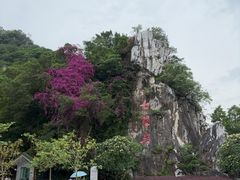 -星湖旅游景区七星岩