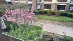 -芙蓉花月子会所(朝阳区店)