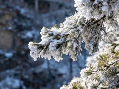 -洛阳白云山景区