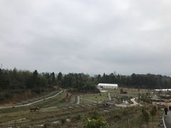 -十八家面馆(欧洲城店)