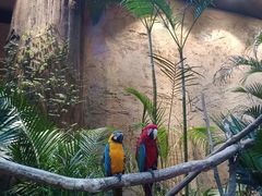 -杭州开元森泊度假乐园