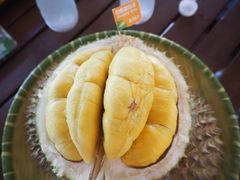 -榴莲BB 四季果园