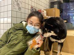 -柴务处·柴犬主题狗咖