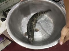 -老四川平头酸菜鱼(衙前店)
