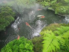 -Chom Cafe and Restaurant