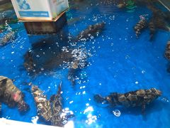 -盒马鲜生(悦峰店)