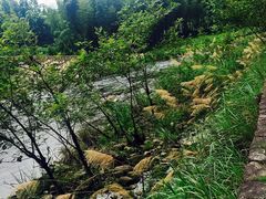 -楠溪江风景名胜区