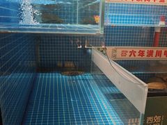 -西郊竹园甲鱼面(老一中店)