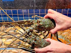 -青蓬蒸汽海鲜·深圳老字号·团建聚会(壹方城店)