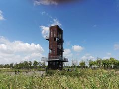 -春花秋色城市公园