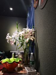 -藤野造型