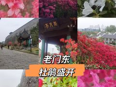-老门东历史文化街区